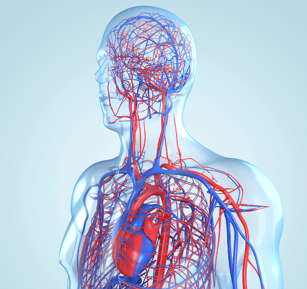 Angiologia - Chirurgia Vascolare - emmebivigevano