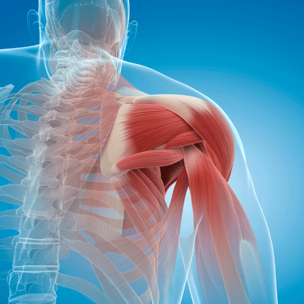 reumatologia - emmebivigevano